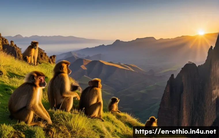 에티오피아 여행 중 놓치기 쉬운 명소 - **Prompt:** "A panoramic view of the Simien Mountains, Ethiopia, at sunrise. Jagged peaks are bathed...