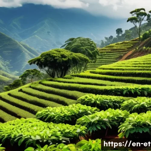 에티오피아 커피의 산지별 차이점 - A vibrant high-altitude Ethiopian coffee farm scene set in the lush Sidamo region, showcasing terrac...