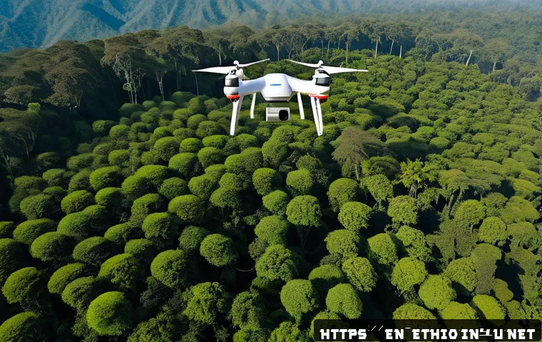 How Ethiopia’s Innovative Forest Conservation is Shaping a Greener Future for Africa 3 에티오피아 산림 보호 활동 관련 이미지 1